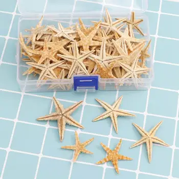 1 Коробка Красивой Морской Звезды Портативная Белая Морская Звезда Многоцелевой Изысканный Свадебный Корабль Из Морских Раковин Разного Размера