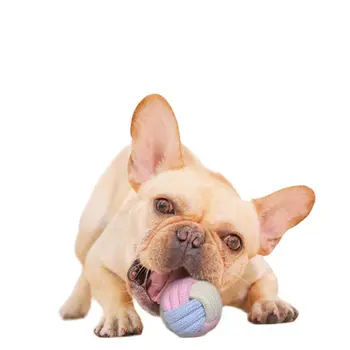 Macaron Молярная защита от укусов, Прочная игрушка для жевания собак, множество интерактивных хлопчатобумажных веревочных шариков с узлами, Набор игрушек для домашних животных