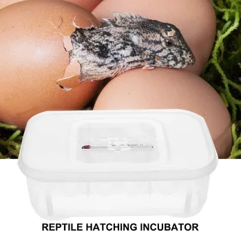 Инкубатор для яиц рептилий Инкубаторный лоток для инструмента для разведения ящериц и змей 12 Сеток