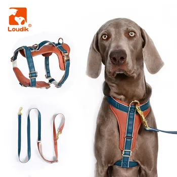 Кожаная шлейка для собак Loudik с регулируемым набором поводков класса люкс для маленьких Средних и крупных собак, Поводки для домашних животных, Аксессуары для прогулок Оптом