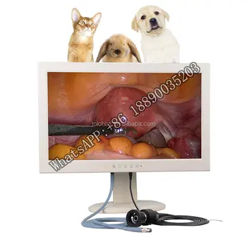 Цена Ветеринарного Эндоскопа LHGW602V HD-камера Видеосистема